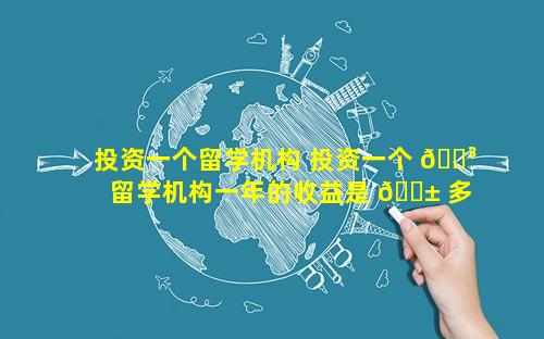 投资一个留学机构 投资一个 🌳 留学机构一年的收益是 🐱 多少